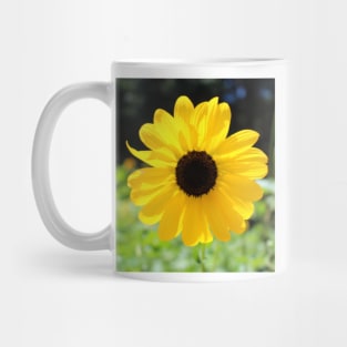 Carolina Sunflower Mug